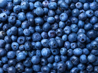 Fresh biological blueberries background close up