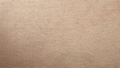 Natural grainy paper texture with visible fiber inclusions