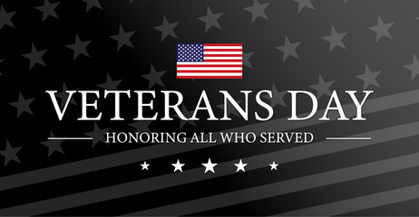 Veterans Day USA Flag