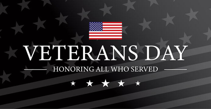 Veterans Day USA Flag