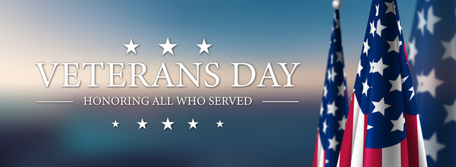 Veterans Day USA Flag