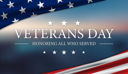 Veterans Day USA Flag