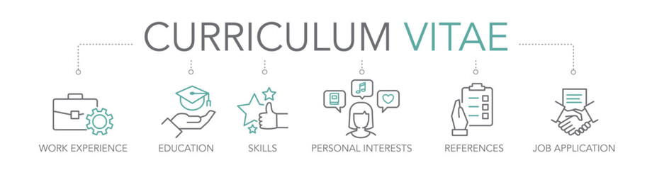 Tcurriculum vitae concept - thin Line icon set  vector illustration