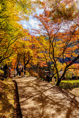 愛知県　香嵐渓の紅葉
