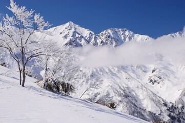 Winter scenery in Hakuba snow resort, Nagano