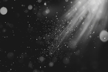 Fototapeta premium The background is mostly black and there is little bokeh, minimalist style.