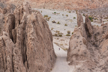 Ruta cuarenta