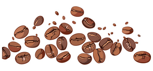 coffee beans vector illustration isolated on transparent PNG, roasted coffee beans, organic coffee beans