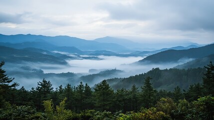 A misty morning view from Kurumayama Plateau, with soft fog rolling over the hills and Lake Shirakaba faintly visible in the distance.