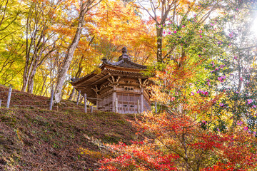 愛知県　香嵐渓の紅葉
