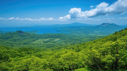 Naklejka premium An elevated view from Kurumayama Plateau on a clear day, showing off the vibrant greenery and the shimmering Lake Shirakaba in the distance.