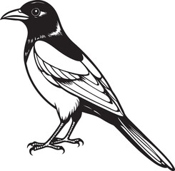 Isolated bird icon image vector 