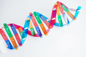 DNA molecule spiral structure model isolated on white background, chromosome and gene chemical...