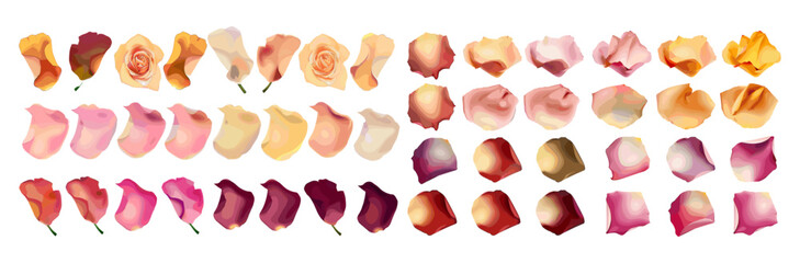 Elegant collection of soft pink flower petals, variety of colored rose pastel petals vector illustration, romantic soft pink petal.