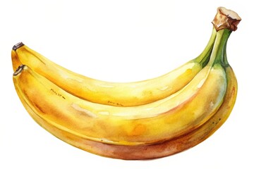 A detailed watercolor illustration of a ripe banana isolated on a white background, realistic, nutritious,banana, vibrant, illustration, art, isolated object, botanical, close-up, ripe