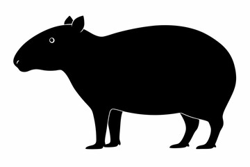 Сapybara Silhouette, Сapybara Animal Vector illustration
