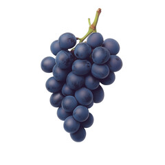 Fototapeta premium Grapes clustered on vine isolated on transparent background