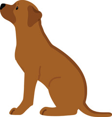 Simple and adorable Rhodesian Ridgeback sitting in side view