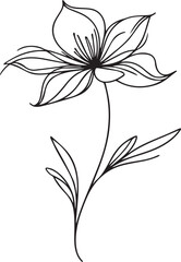 Simple beautiful flowers outline Design