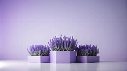 Lavender plants in minimalist geometric pots on a soft purple background
