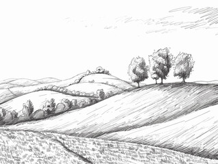 Fototapeta premium white background, Countryside landscape with rolling hills - isolate on a rural background., drawings in pencil easy, very simple and isolate in the style of animated illustrations, white background