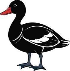 Duck color vector image illustration 
