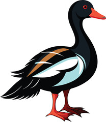 Duck color vector image illustration 