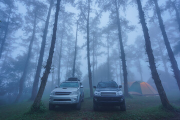 Beautiful scenery of the mist in the morning at the Camp Car Camping Site nature of Huai Nam Dang National Park the famous place of travel attraction destination at Chiang Mai, Thailand.