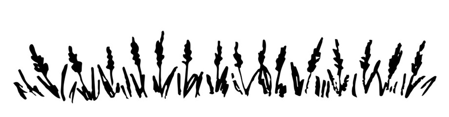 Hand drawn vector illustration with black grungy outline. Long border of wheat, cereal plants, grain crops. For packaging design, labels of bakery products, pastries, flour.