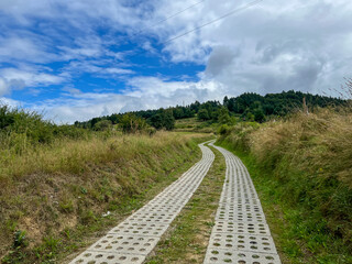 Fototapety na wymiar - Fototapeta24.pl