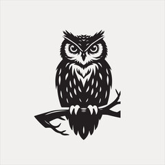 Owl vector illustration and brid