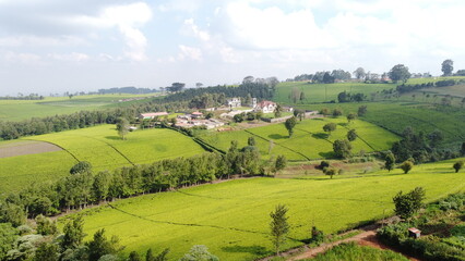 Fototapeta premium Tea Farm in Kenya East Africa 
