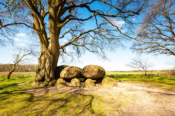 Ancient Dolmen (Hunebed D22 Bronneger), Drenthe, The Netherlands