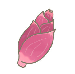 R:もっとメルヘンな野菜 みゅうが⑤