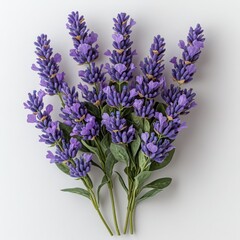 Obraz premium A bouquet of vibrant purple lavender flowers arranged artistically.