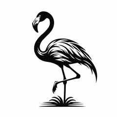Flamingo bird image shilotte black and white with white background