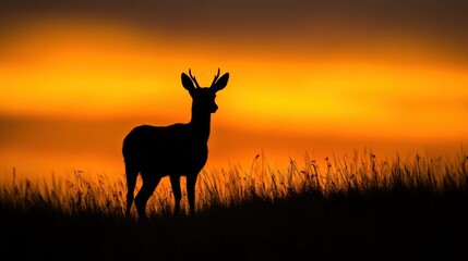 Naklejka premium Silhouette of a Deer Against a Dramatic Sunset with Minimalist Composition
