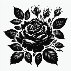 rose flower  image shilotte black and white with white background