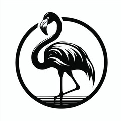 Flamingo bird image shilotte black and white with white background