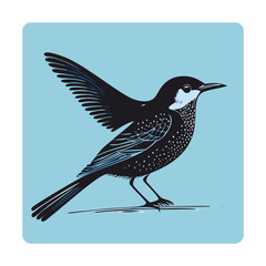 Vector illustration of a starling bird isolated on a blue background.