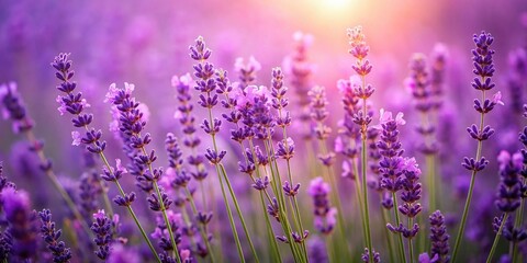 Fototapeta premium Soft Lavender Wallpaper Background for Elegant Interiors, Textured Design in Calming Purple Shades