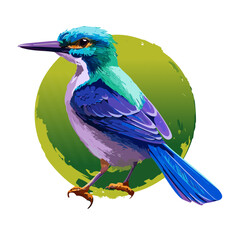 Illustration of a blue kingfisher on a green background.