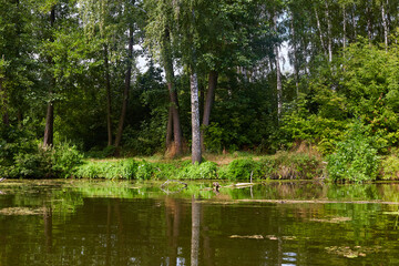 The Psel river in the autumn.