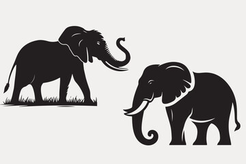 Obraz premium Elephant vector, Elephant illustration and elephant head