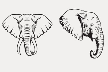 Elephant vector, Elephant illustration and elephant head