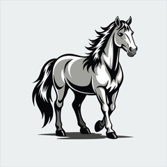 horse illustration
