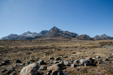 sheep in the mountains