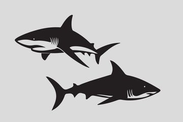Shark vector, and fish vactor