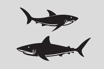 Shark vector, and fish vactor