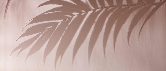 Palm Leaf Shadow on a Pastel Background